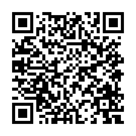 QR code for L294X