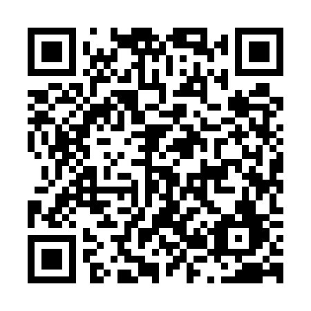 QR code for L295SF