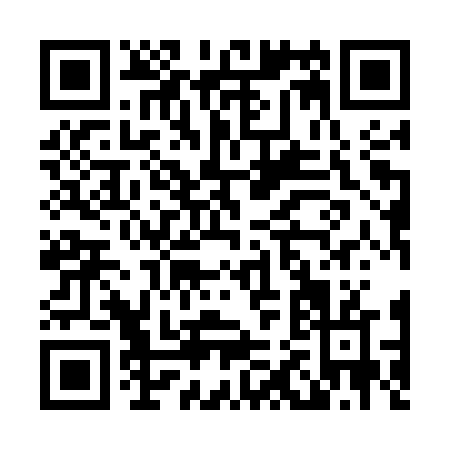 QR code for L295V