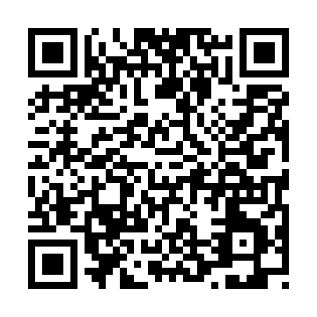 QR code for L295X