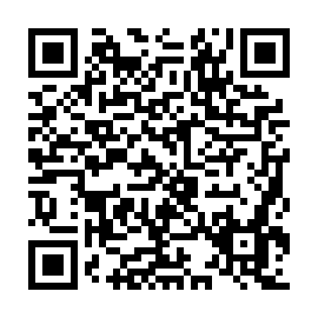 QR code for L310G