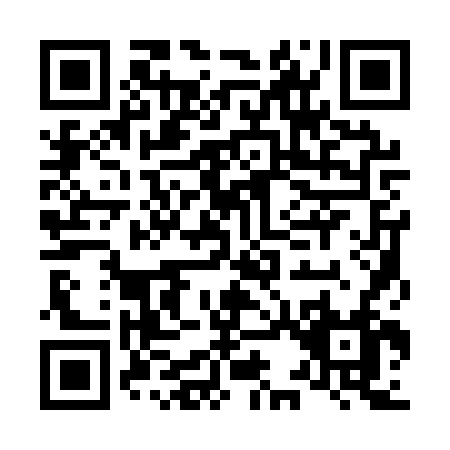 QR code for L311V