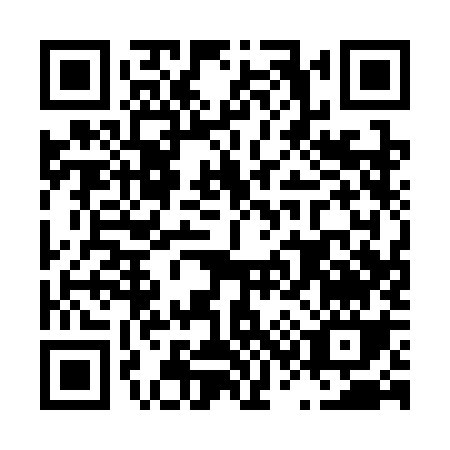 QR code for L313K