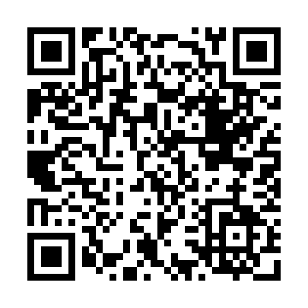 QR code for L313W