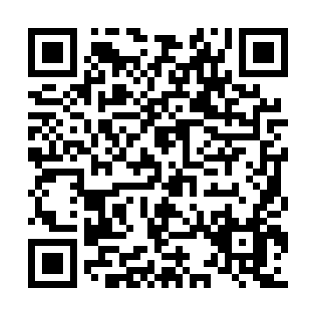 QR code for L315T