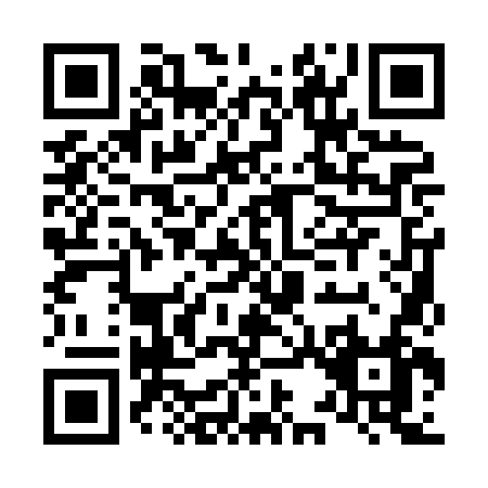 QR code for L318N