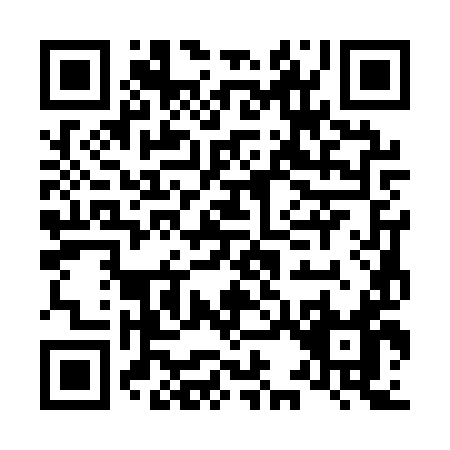 QR code for L331Y