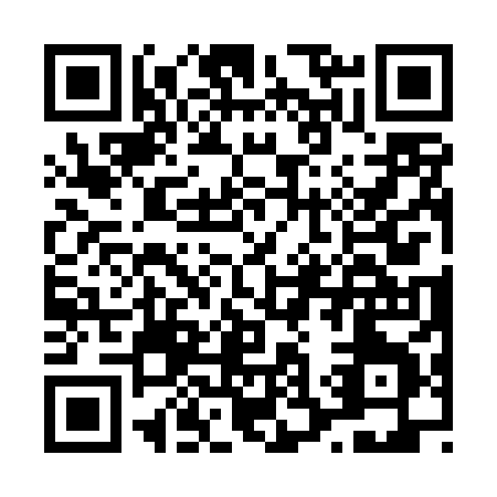 QR code for L334X