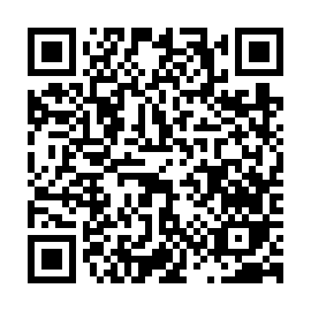 QR code for L336V