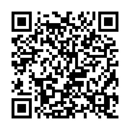 QR code for L338FF
