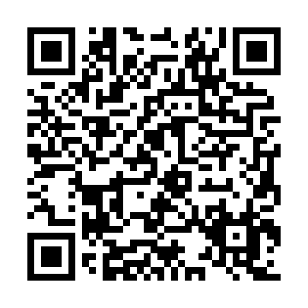 QR code for L338P