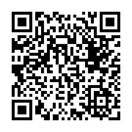 QR code for L339Q