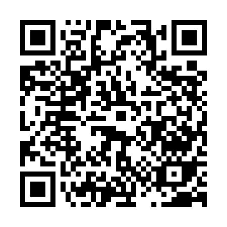 QR code for L355G