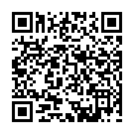 QR code for L355H