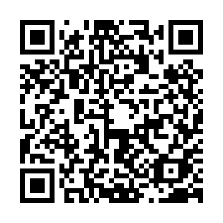 QR code for L370PI