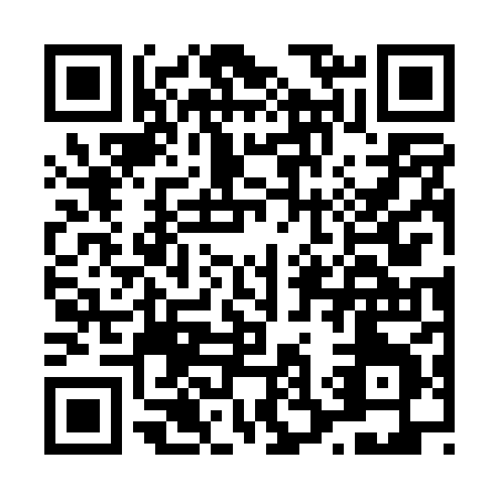 QR code for L370X