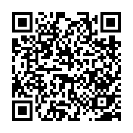 QR code for L376C