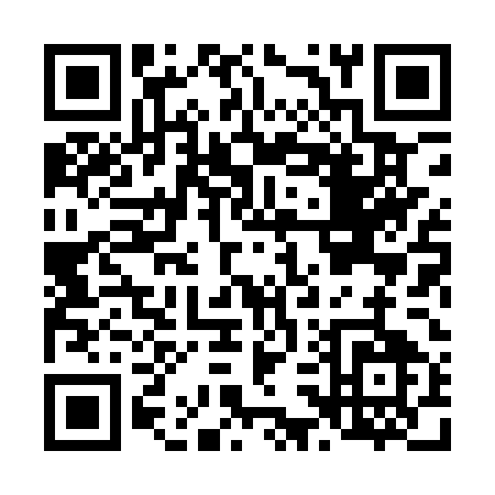 QR code for L381U