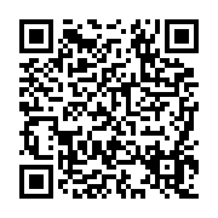 QR code for L382D