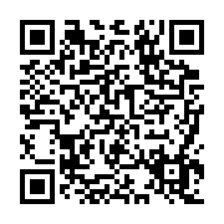 QR code for L383V