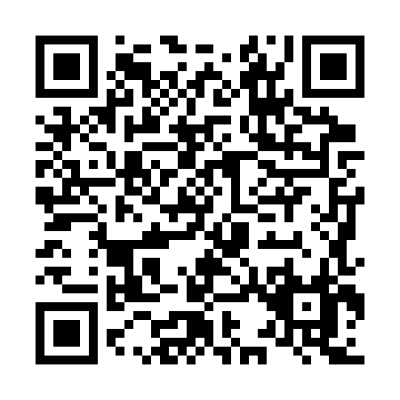 QR code for L383X