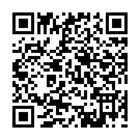 QR code for L389C