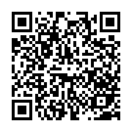 QR code for L395X