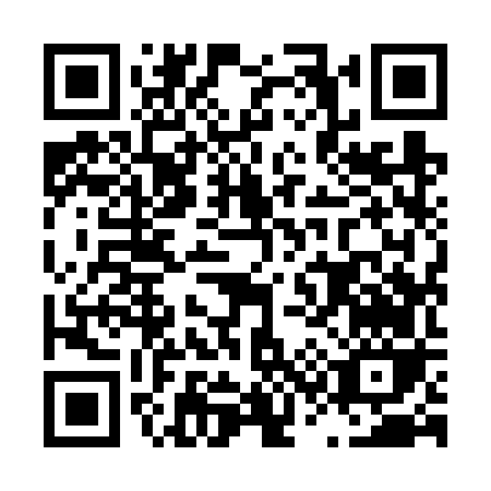 QR code for L396V