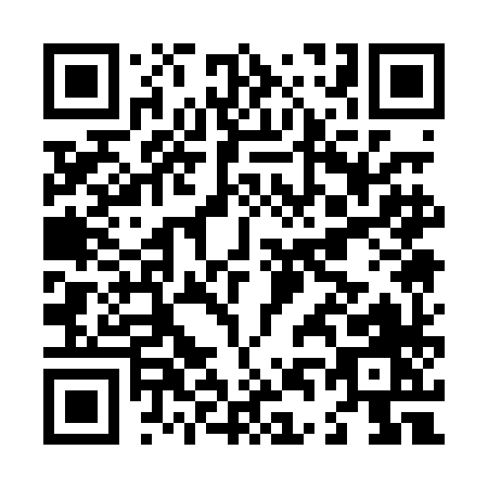 QR code for L410H