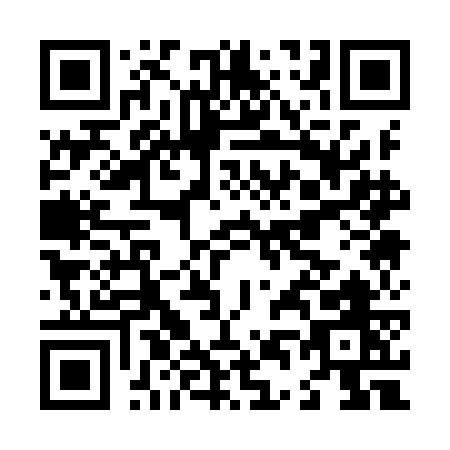QR code for L419G