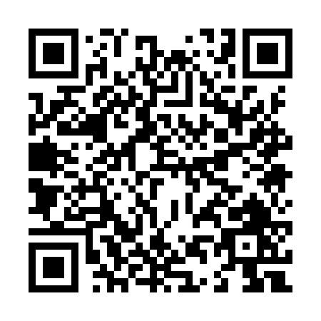 QR code for L419V