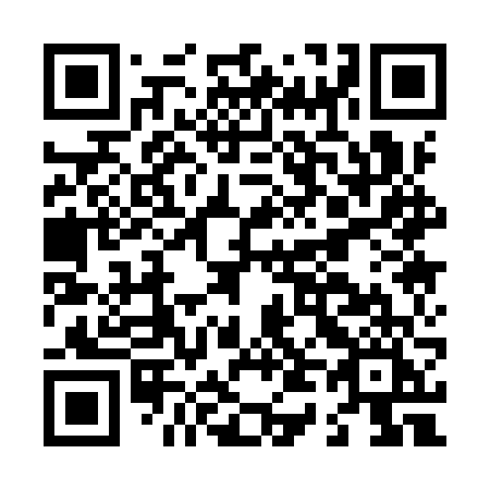 QR code for L419VI