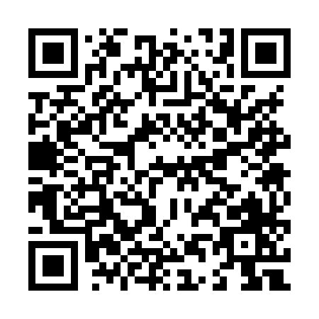 QR code for L438X