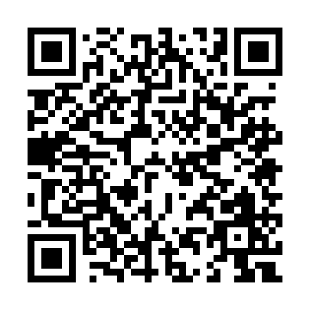 QR code for L450A