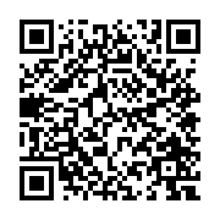 QR code for L451P