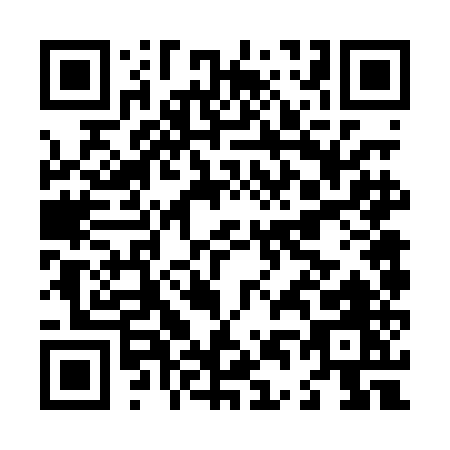 QR code for L460E