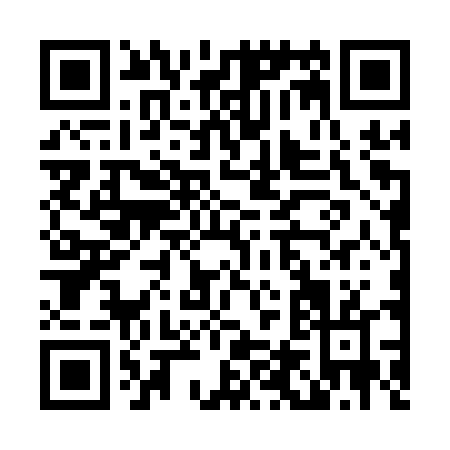 QR code for L461T
