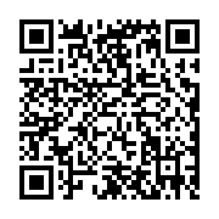 QR code for L463P