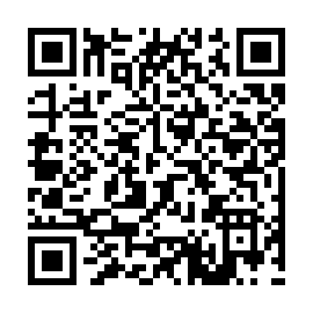 QR code for L463Z