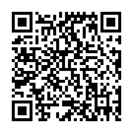 QR code for L482N