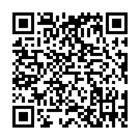 QR code for L493C