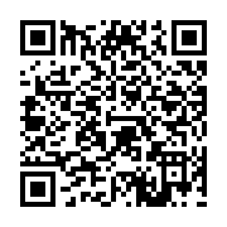 QR code for L493D