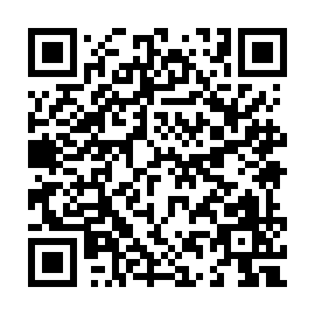 QR code for L496I