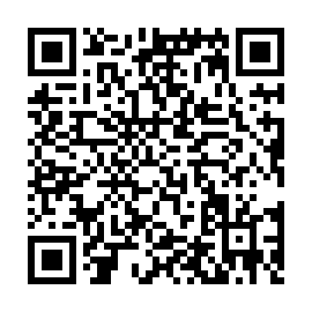 QR code for L498D