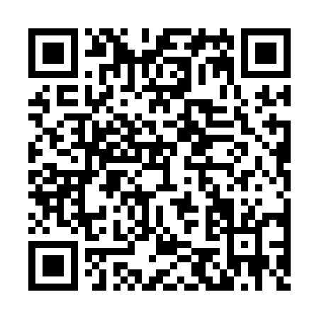 QR code for L501E
