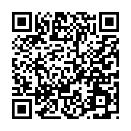 QR code for L501P