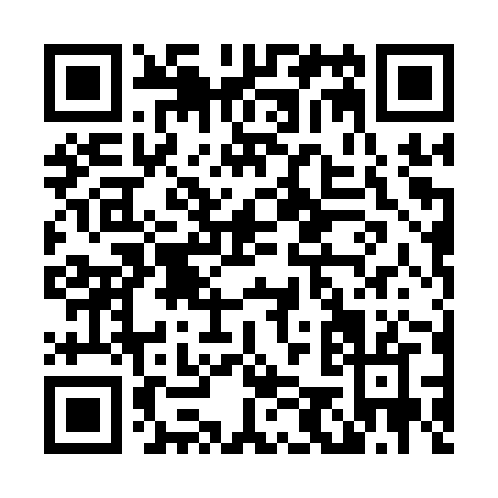 QR code for L501Z