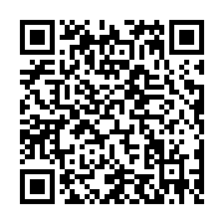 QR code for L507V
