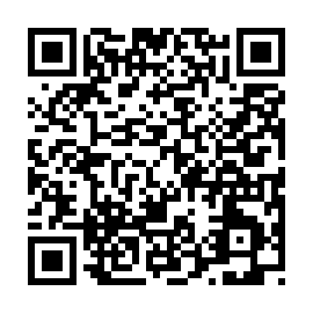 QR code for L515I