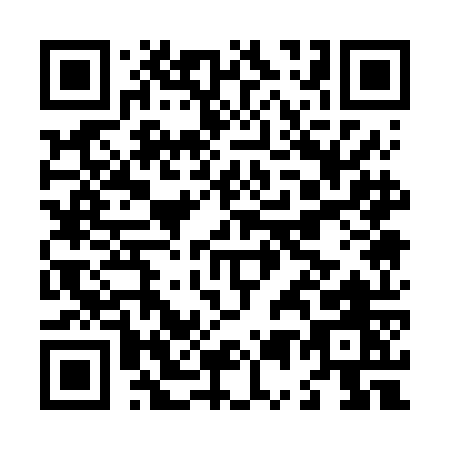 QR code for L516O